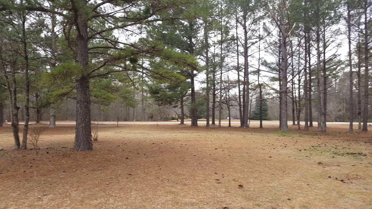 Front yard - YouTube