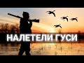 Поехал НА ОХОТУ НА УТОК, а налетели ГУСИ. Охота осенью 2020.