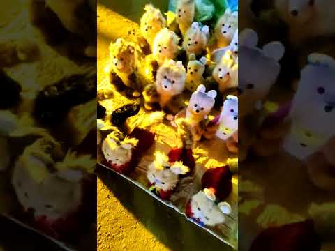 On the street Doll Business | অল্প দামে ভালো মানের পুতুল | Low Price Doll Market | #Shorts