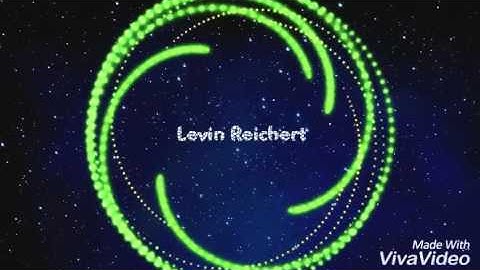 Intro Levin Reichert #5