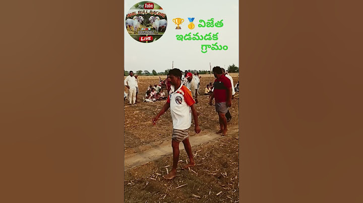 న్యూ క్యాటగిరి కోర్టు ఎంట్రీ 🥇 విజేత బోరెడ్డి కేశవరెడ్డి పెద్దకోటల గ్రామం నంద్యాల జిల్లా#bull