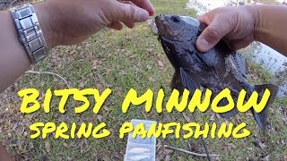 Spring Panfishing with the Strike King Bitsy Minnow Crankbait