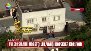 Evleri silahlı nöbetçiler, vahşi köpekler koruyor