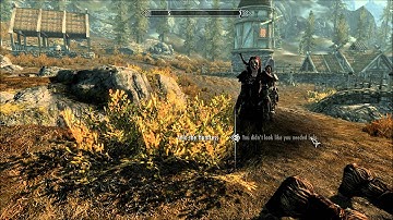 Elder Scrolls V: Skyrim Walkaround PC Max settings
