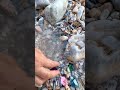 Gem stones from the canyon #outdoors。 diamonds and gold