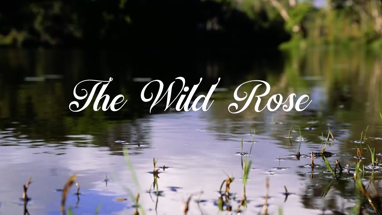 The Wild Rose - Behind the Scenes "Crew Interviews"