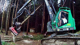 NEUSON 183HVT - czech logging with tracked harvester 🌳🌲