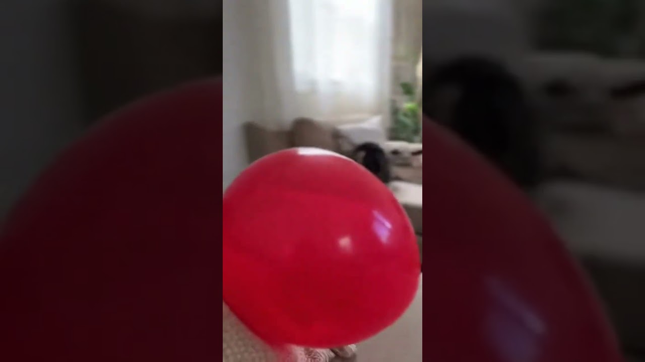 Cat vs Red Balloon Chaos