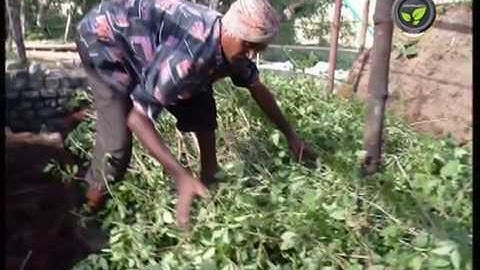 Aerobic Method of Composting