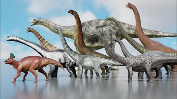 3d Dinosaur Size Comparison