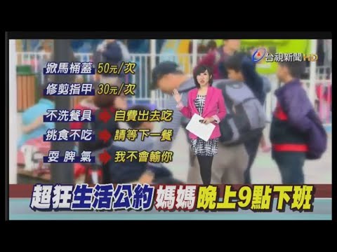 20170222 台視新聞台 1900晚間新聞 主播林益如播報片段