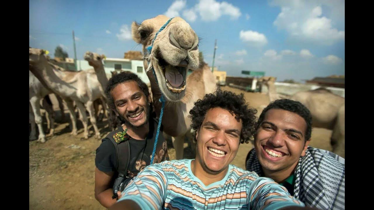 остроумные фото. веселые люди и животные. смешное путешествие. остроумные фото. фотосессия с рыбой.