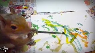 Squirrel Creates Paintings To Help Other Animals