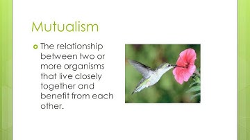 Community Interactions