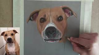 Color pencils,soft pastels Ruby timelapse