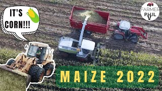 COVERED MAIZE HARVEST 2022!
