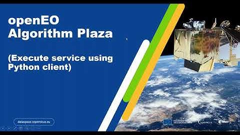 How to execute openEO Algorithm Plaza Service programmatically?