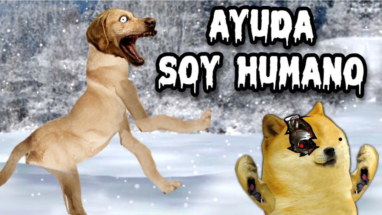 SE HACE PASAR POR TU PERRO, QUE BONITO TU SKINWALKER - Hilos con cheems