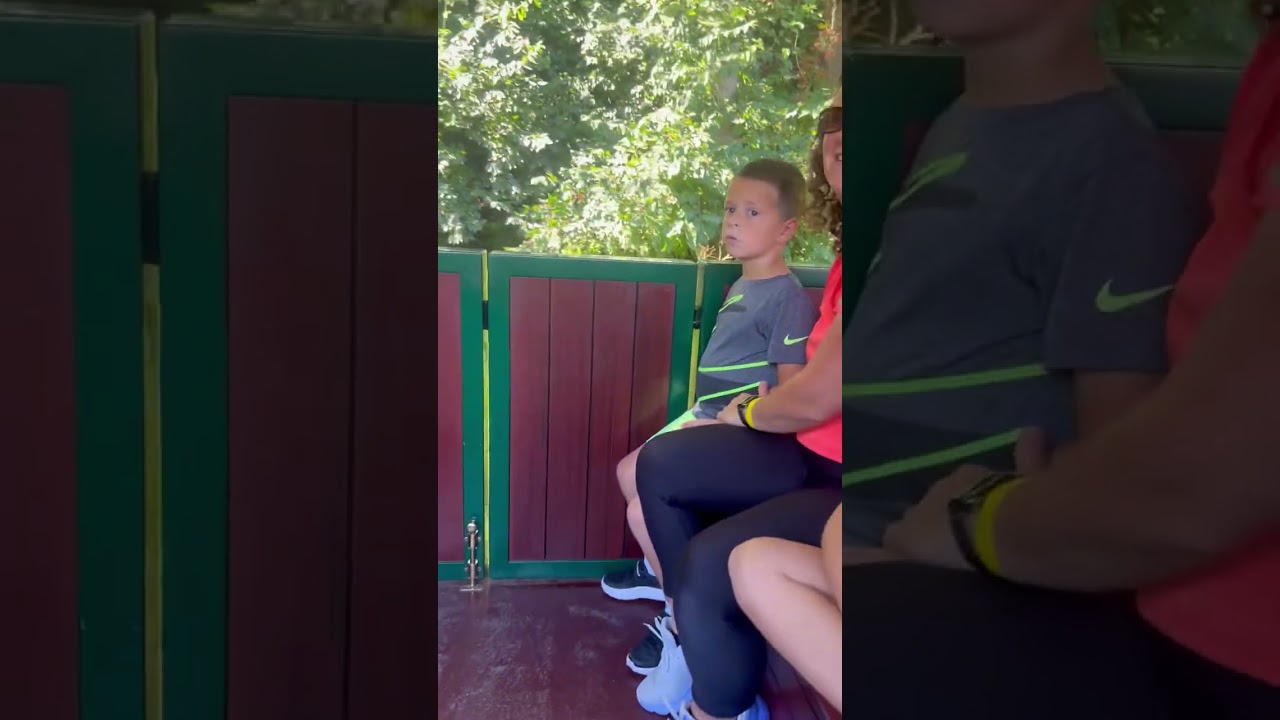 Carillon Park Train Ride