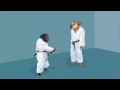 Dog judo classic  gun