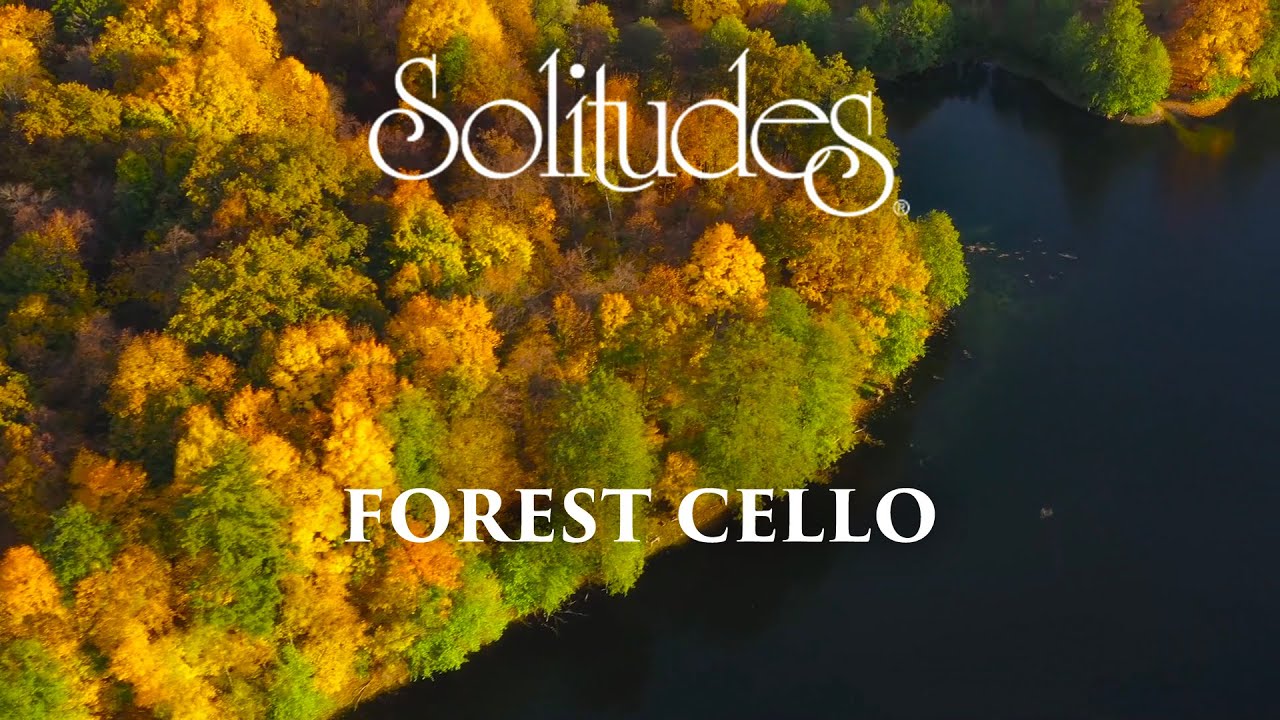 Dan Gibson’s Solitudes - The Fallen Leaves | Forest Cello Dan Gibson’s Solitudes - The Fallen Leaves | Forest Cello