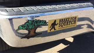 We totally love these bumper stickers! (OWL 0503)