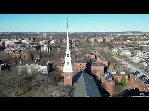 Interface Cohomology