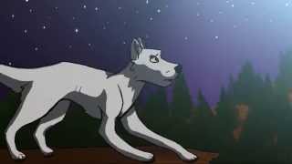 Animation | TV Paint Test