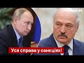 ⚡️рф нападе на Білорусь?! Ступак озвучив план, як розсварити путіна з Лукашенком - Україна 24