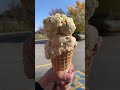 YUMMYLICOUS DOUBLE SCOOP ICE CREAM #shorts #viral #asmr #satisfying