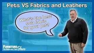 What Sofa Fabric is Best for Your Pets?