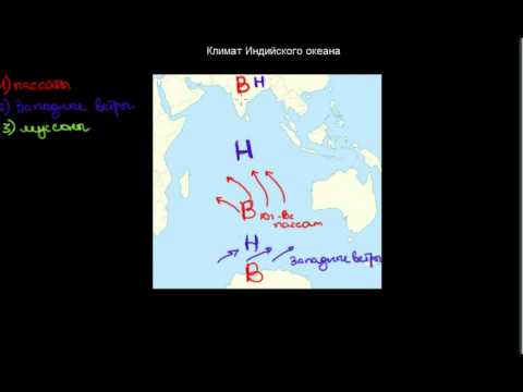 229  Климат Индийского океана