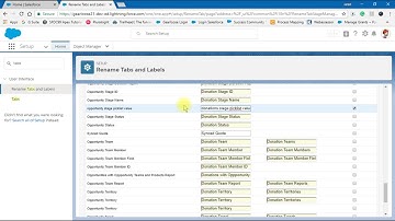 Salesforce NPSP - Renaming Tabs & Labels - Changing Opportunities to Donations