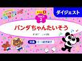 「パンダちゃんたいそう」うんとこどっこい運動あそび＆運動会33（ダイジェスト）