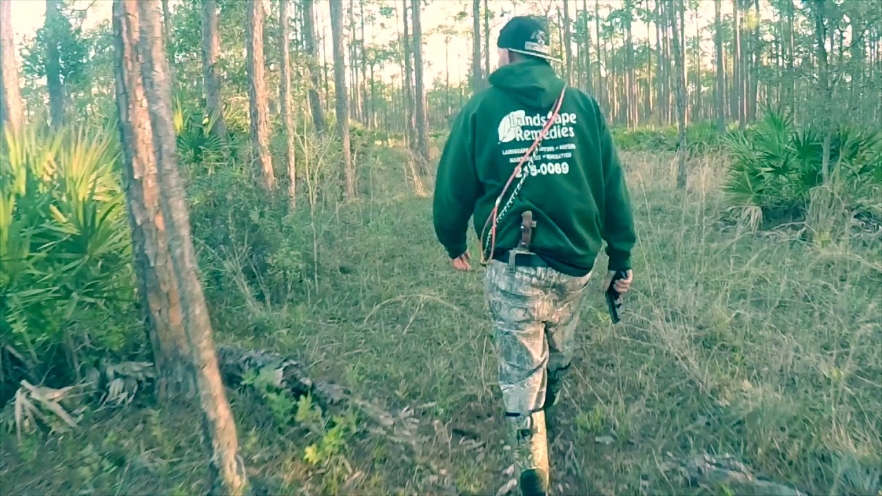 Hog Hunting In North Florida (BIG BOAR HOG) YouTube