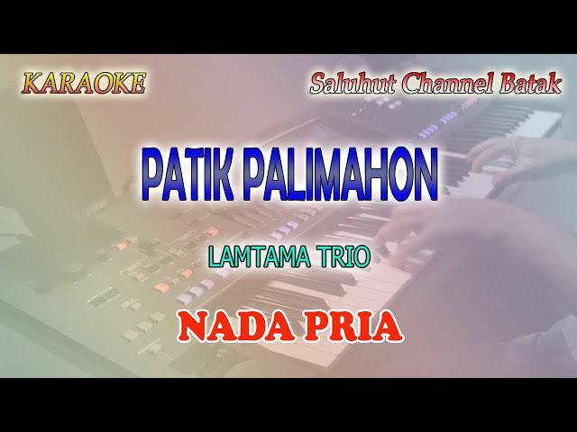 PATIK PALIMAHON ll KARAOKE BATAK ll LAMTAMA TRIO ll NADA PRIA A=DO class=