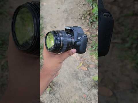 Canon 200d Ii Canon 85mm 1 8 