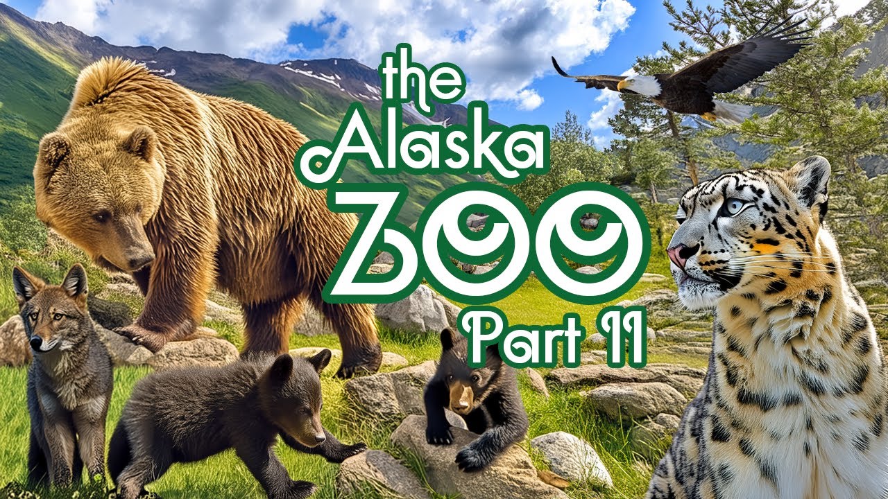 The Alaska Zoo Tour Part II