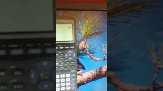 Finding factorials, permutations and combinations on a TI calculator