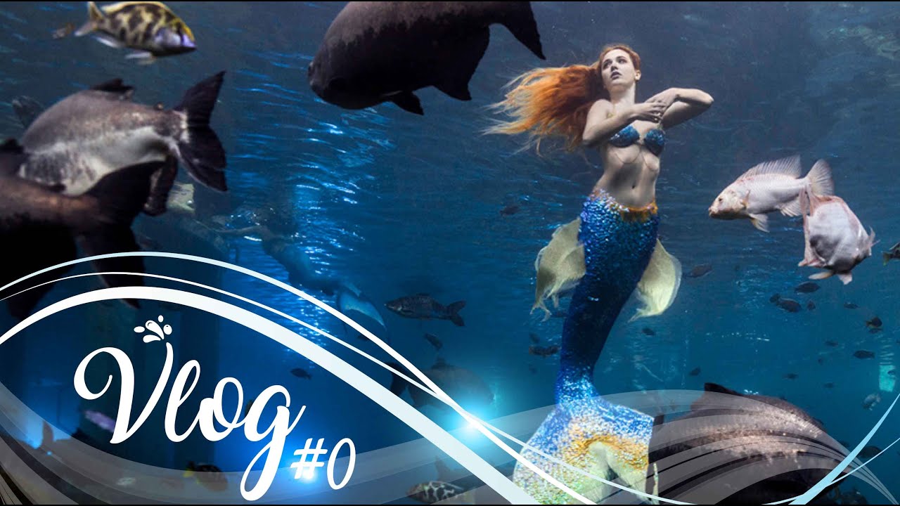 MERMAID VLOG #0 | C'est parti !