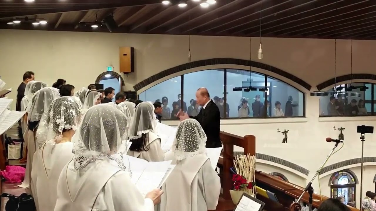 Sanctus 쌍뚜스 키리에 하이든 브레비스 미사곡Missa brevis No7 수성성당Gaudium et Spes성가대 지휘 김양수, Vn 김수지 Vc 김문영 Org 이현지