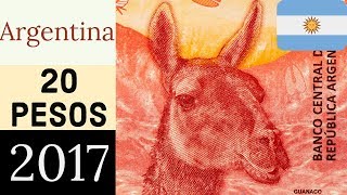 De Argentina, 20 pesos con Guanaco. ¿Lo conocías? [4K UHD]