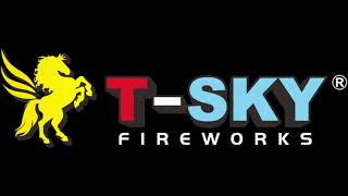 T Sky Firework R14011 1.5 golden strobe tail w/ purple mine