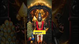 🕉️ Trust Lord Murugan, Your Time Will Come..#god #murugan #lordshiva #shortsfeed #devotional #shorts
