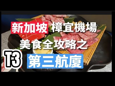 樟宜機場第三航廈美食全攻略，包含所有的入出境及管制區的餐廳，終於做完樟宜所有四個航廈的美食影片，連結在說明欄中