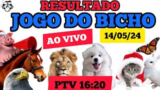 RESULTADO DO JOGO DO BICHO AO VIVO PTV 11/05/24