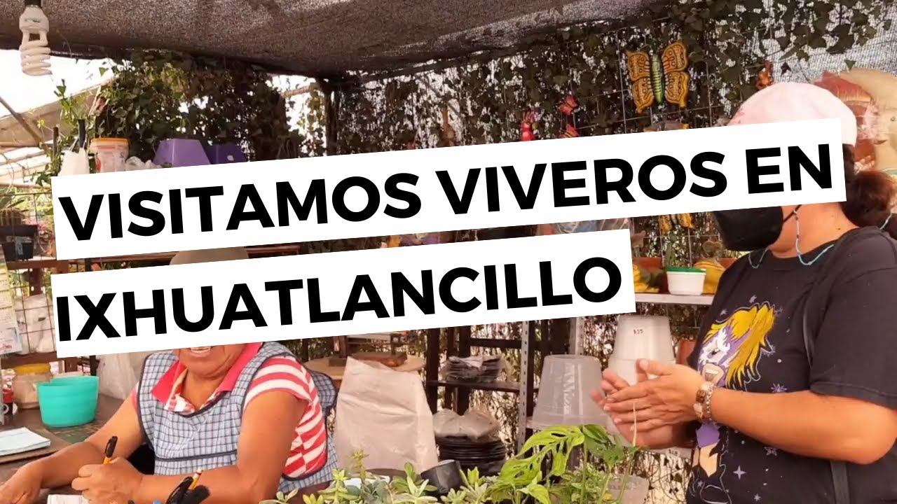 VIVEROS DE PLANTAS Y FLORES EN IXHUATLANCILLO VERACRUZ - YouTube