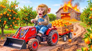 Monkey Drives JCB Tractor to Harvest Oranges &amp; Rescue Orange Farm from a Massive Barn Fire!
