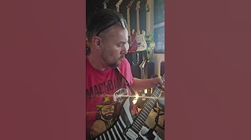Thumbnail of Def Leppard, Animal, solo