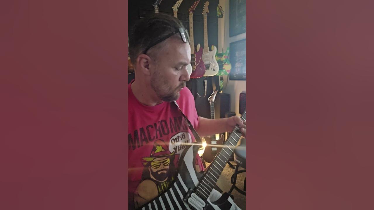 Def Leppard, Animal, solo